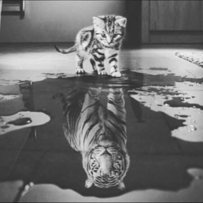 101_snakeman's profile picture. COOL TO BEFRIEND 🥂✌️