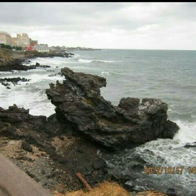 ayako92758's profile picture. 沖縄大好き✈🌺🐬🏝お花好き
🌷🌸🌺🌻🌼美味しい物😋

DMは親しい人だけ見ます。
ごめんなさい😊