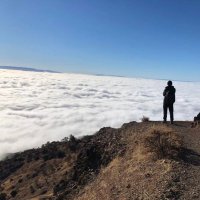 Wei Qin (@weiqinchembio) 's Twitter Profile