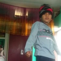 Safdar Husain (@safdarh53628051) 's Twitter Profile