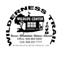 Wilderness Trail Wildlife Center(@WTWildlife) 's Twitter Profile Photo