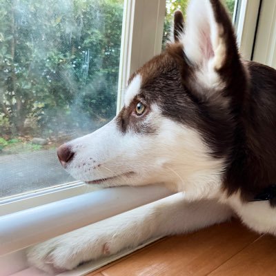 北斎 ハスキー犬 Neal Doganddog Twitter