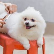 Onlinesearch3's profile picture. My pride