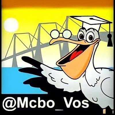 Mcbo_Vos Profile Picture