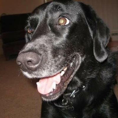 nuginski's profile picture. 