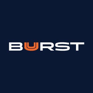 BuurstData Profile Picture