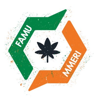 FAMU'S MMERI Initiative, was launched to educate minorities about marijuana for medical use and the impact of the unlawful use of marijuana.