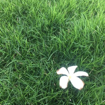 CSiam3's profile picture. Fashion idea outlet