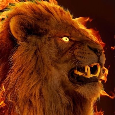 AkwasiScorm's profile picture. l am who i am.If u like it, great.If u don't , i don't care!