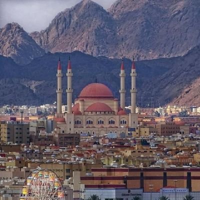 abuamer2033's profile picture. ‏‏‏بعض الأشياء م توجعك,بس تعلمك 
أنك كنت على نيَتك أكثر من اللازم. !