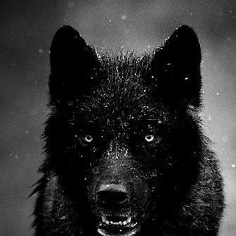 DoeLoadb's profile picture. 