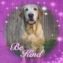 Bonnie Johnson - @BonnieLueken - Twitter