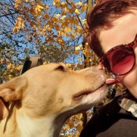 Deb Bush 🦌 🌻 (@debbush1) 's Twitter Profile