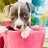 HiMyNameIs_Gage's profile image
