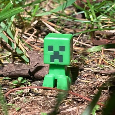 QPigstep's profile picture. I like Coconut Mall and the “Confused” Debuff.