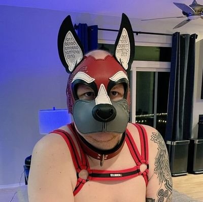 I'm @BruiseTail's pup. Sometimes a tiger sometimes a dog.