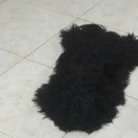 Jandee (@jandee01) 's Twitter Profile