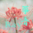 箏音Rayのアイコン