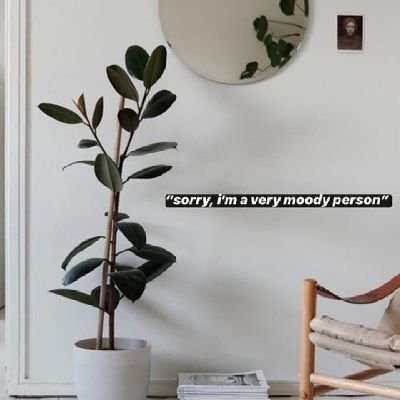 susu_sapiku's profile picture. yihaaaaaaa...