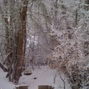 Dave Larsen - @cowboydavy - Twitter