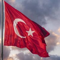 EDEBİYAT EKPSS ( ENGELLi ÖĞRETMEN ADAYI ) (@elifeee6) 's Twitter Profile