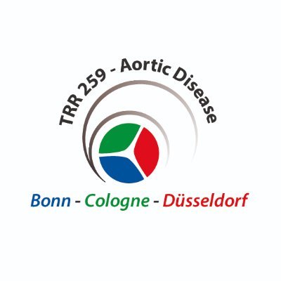 The TRR259 investigates the underlying mechanisms of aortic diseases.