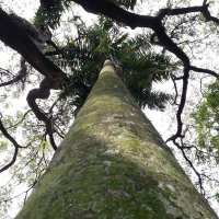 Ero Sennin (@arjunadanish1) 's Twitter Profile