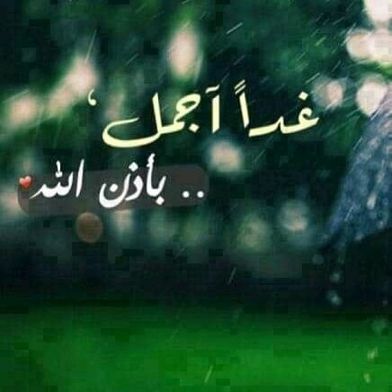 DBzlCPpte6vnIUP's profile picture. كن أولا تكن