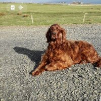 Sally Shaw (@shawsally10) 's Twitter Profile