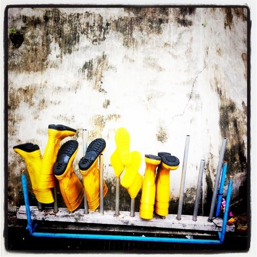 technodonkey's profile picture. I like Techno. And House and Drum and Bass and Electro and Jazz and Hip Hop and Coffee and Croissants and Sushi and Zouk and Dr Seuss.