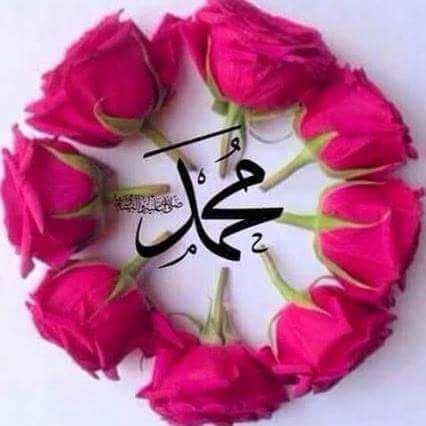 writer 🖋• حَسْبِـيَ اللّهُ لا إلهَ إلاّ هُوَ عَلَـيهِ تَوَكَّـلتُ وَهُوَ رَبُّ العَرْشِ العَظـيم