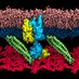 Khalid Lab (@skhalidlab) Twitter profile photo Khalid Lab (@skhalidlab) Twitter profile photo