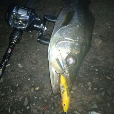 チャリンコ釣り師 Nihfdicys9fbk2h Twitter チャリンコ釣り師 Nihfdicys9fbk2h Twitter