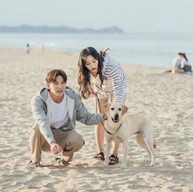 GeeDeeA's profile picture. I love those cute things with PAWS 🐕🐈🥰