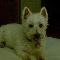 juliedwd's profile picture. null