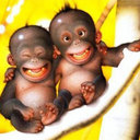 Chase barber - @cb1865 - Twitter