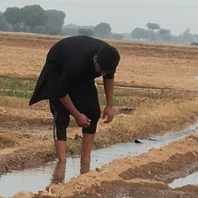 Amalpuri20201's profile picture. 