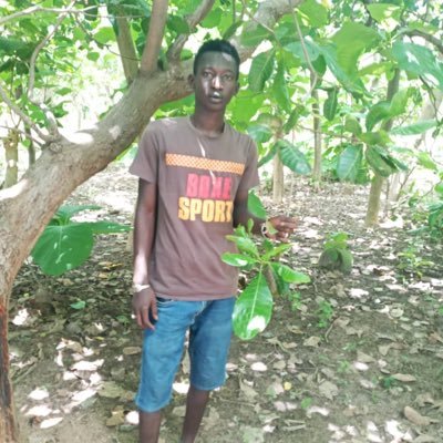 Lamin19482711's profile picture. Looking for support