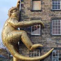 Dr Mairi Davies (@drmairidavies) 's Twitter Profile