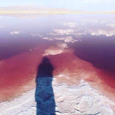 AstridVanackere's profile picture. Passionate about the Middle East, intercultural dialogue and human rights | currently working at the IRC Nigeria | views expressed are my own