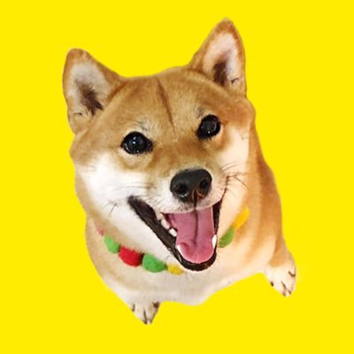 uaremyhero's profile picture. I’m MOMOPPU｜豆柴サイズ女子｜日本生まれ日本育ち🇯🇵→クロアチア🇭🇷とハンガリー🇭🇺に住んでたなの｜2018.7.28🎂｜おっとり系｜https://t.co/50FJqGYlrW… ｜Youtube、フリフリネックレス、ワンコが海外に行く方法は👇