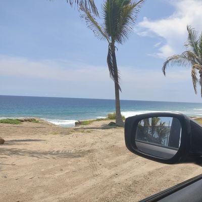 COGACH's profile picture. 