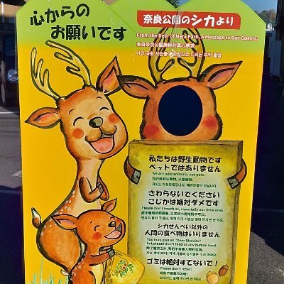 奈良公園の自然と鹿を守りたい！  月１回の奈良公園ゴミゼロウォーク等でゴミを減らす活動を展開中。 著書に『奈良公園の鹿を「殺す」のは、誰か』『マンガと解説 奈良公園の鹿を守る本』（ともにCATパブリッシング）
活動報告などはこちら：https://t.co/ilZn3eHVUl