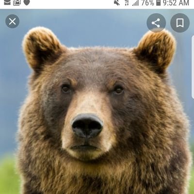 Mom of a North Point Grizzly, Blue and Orange Pride of the Wentzville School District. (images from WSD and National Geographic)