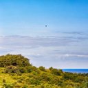 Mark Reilly - @dalystown - Twitter