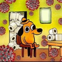 Egor Moryakov (@moryakovegor) 's Twitter Profile