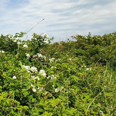 Praxis_sixarP's profile picture. Most of limits are mere illusions ...

武人  ---  interested in travel, wine and various sports.
어차피 삶이란 #스쳐지나가는_이야기

Soyez en paix avec ce qui est passé...