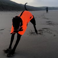 Roly Maby (@osakalbion) 's Twitter Profile Photo