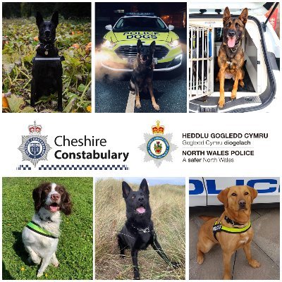 Official account of the Cheshire and North Wales Police dog unit. This account is not monitored 24/7. For Non-Emergency Dial 101. In an Emergency Dial 999.