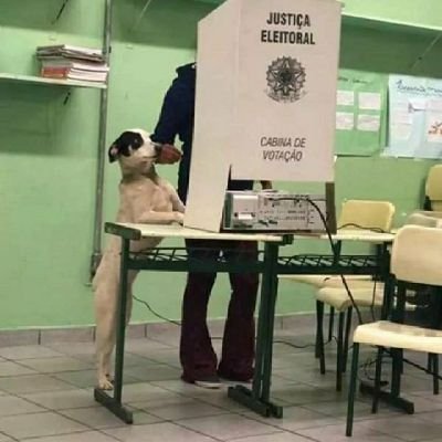 Lucas_xerife's profile picture. 